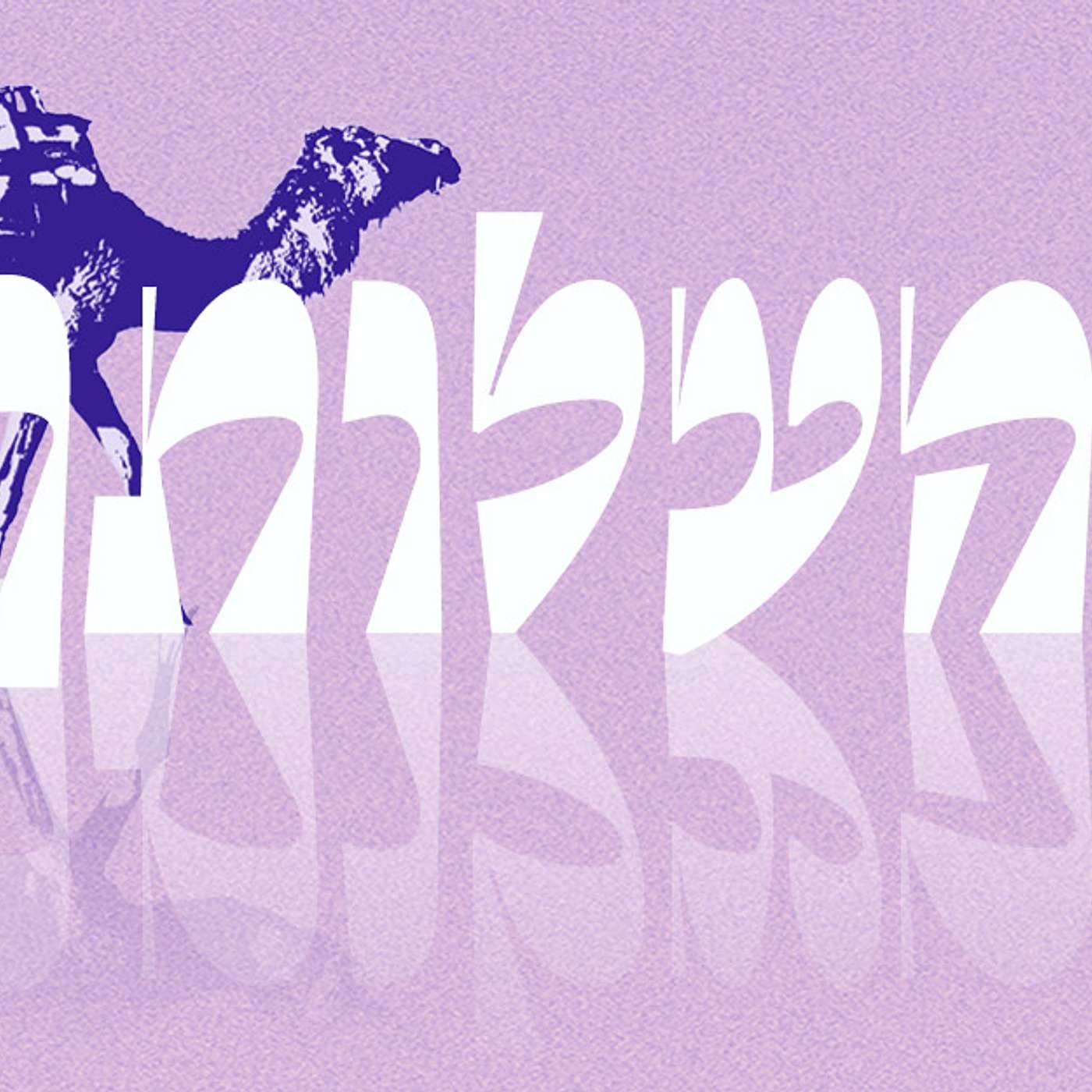 Parashat Behaalotcha | A Strange Request | Rabbi Shai Finkelstein