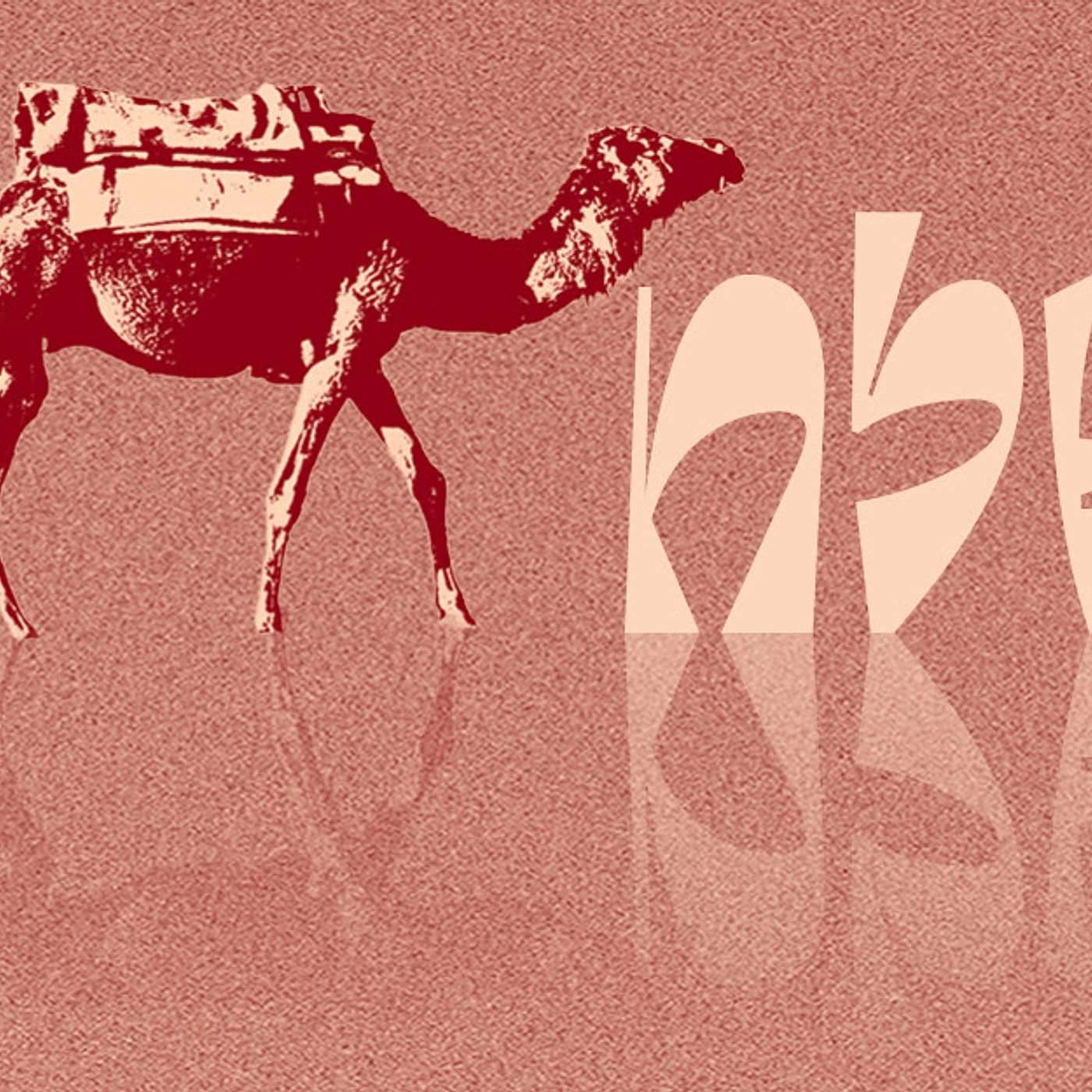 Parashat Shlach | A Second Chance? | Rabbi Shai Finkelstein