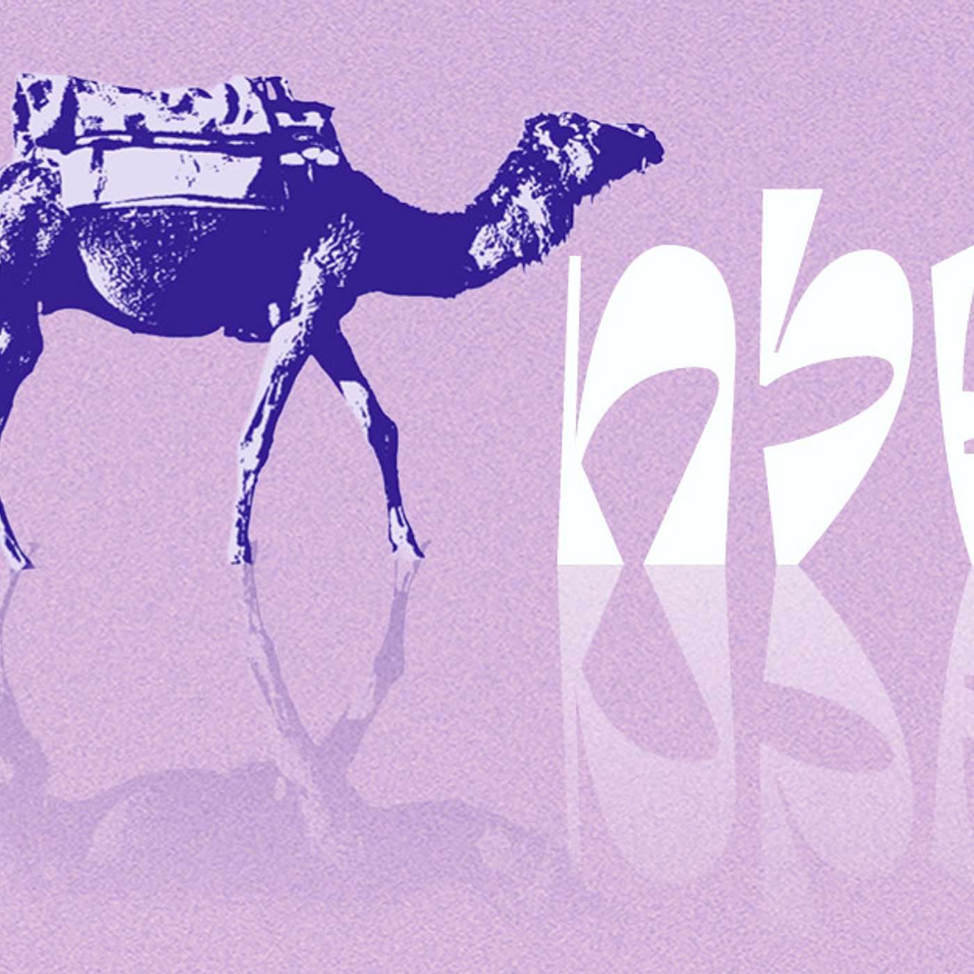 Parashat Shlach | Leadership styles | Rabbi Shai Finkelstei