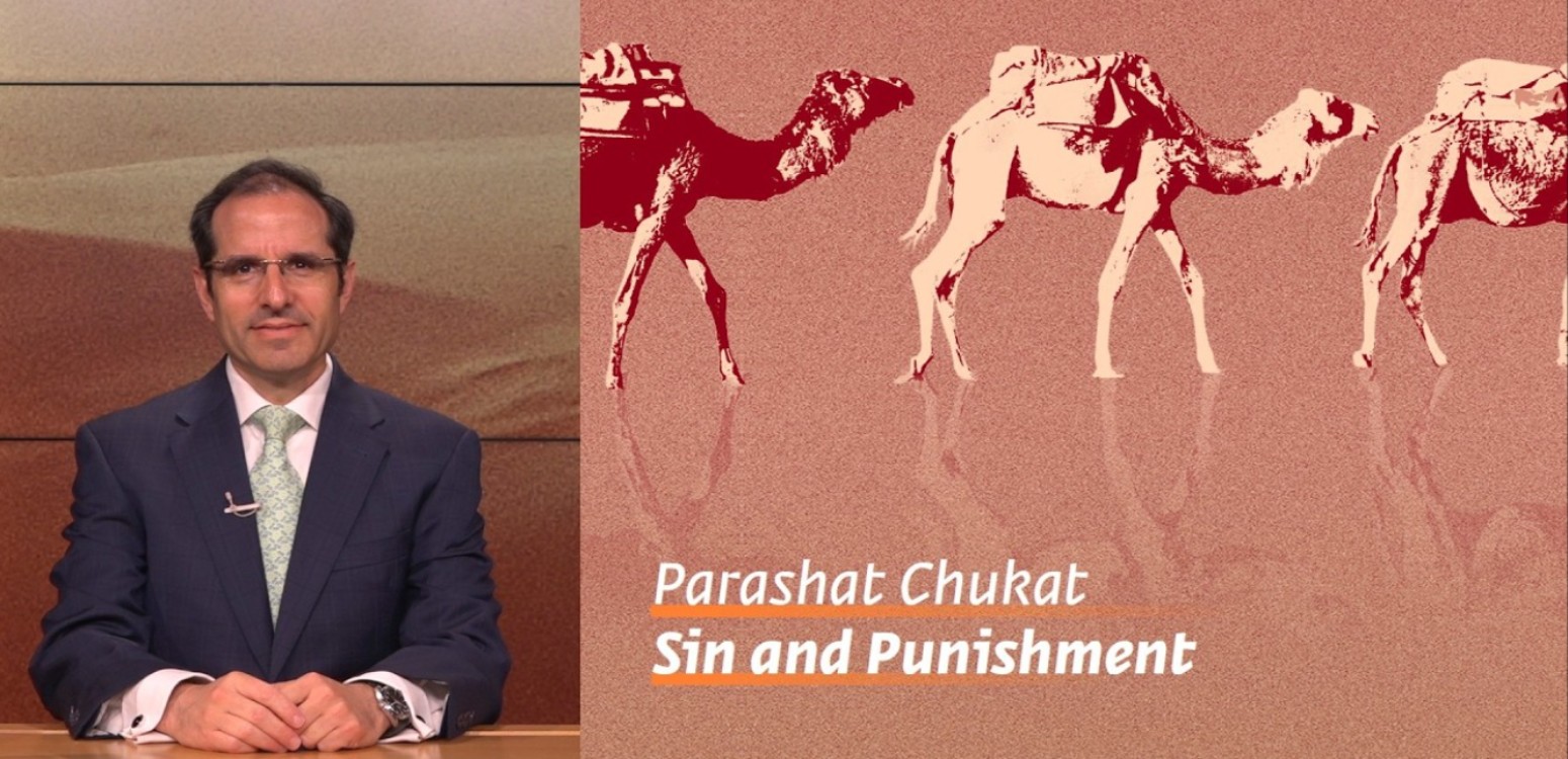 Parashat Chukat: Sin and Punishment