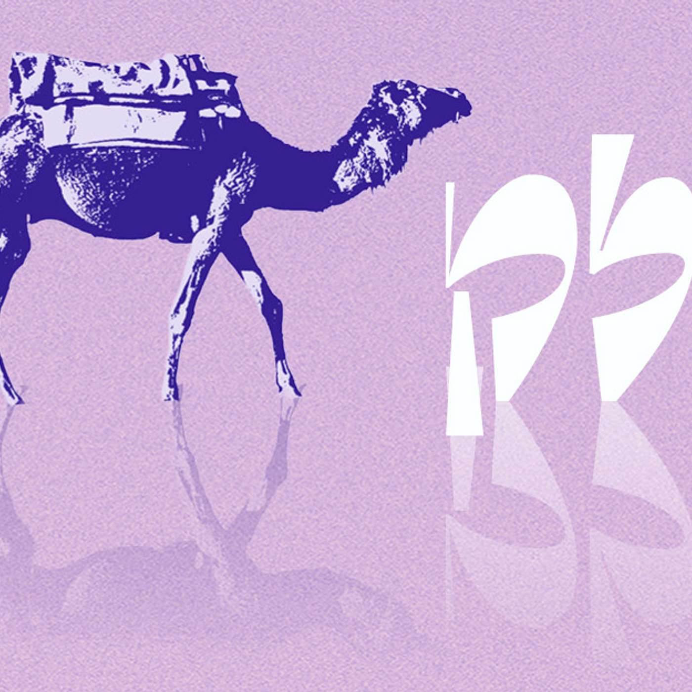 Parashat Balak | Unfulfilled Potential | Rabbi Shai Finkelstein