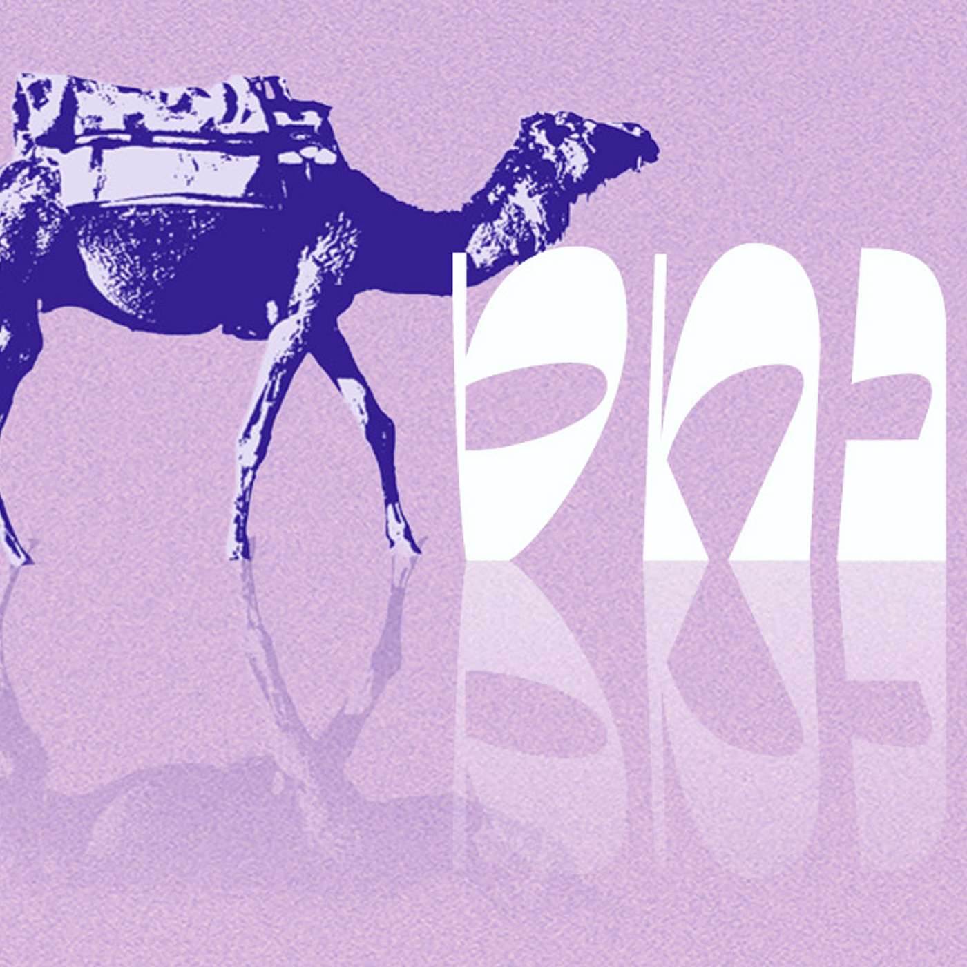 Parashat Pinchas | The Power of Women | Rabbi Shai Finkelstein