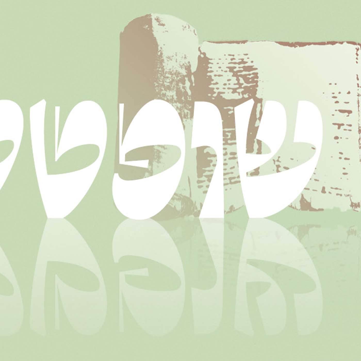 Parashat Shoftim | The Power of Peace  | Rabbi Shai Finkelstein