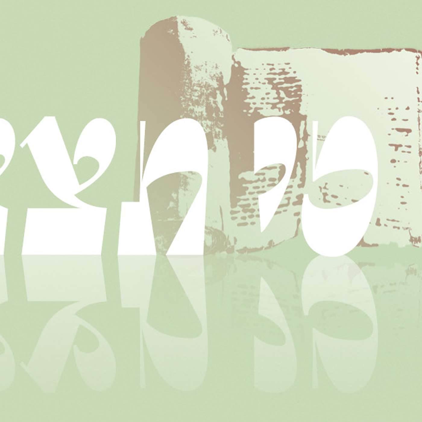 Parashat Ki Teitzei | Social Responsibilities  | Rabbi Shai Finkelstein