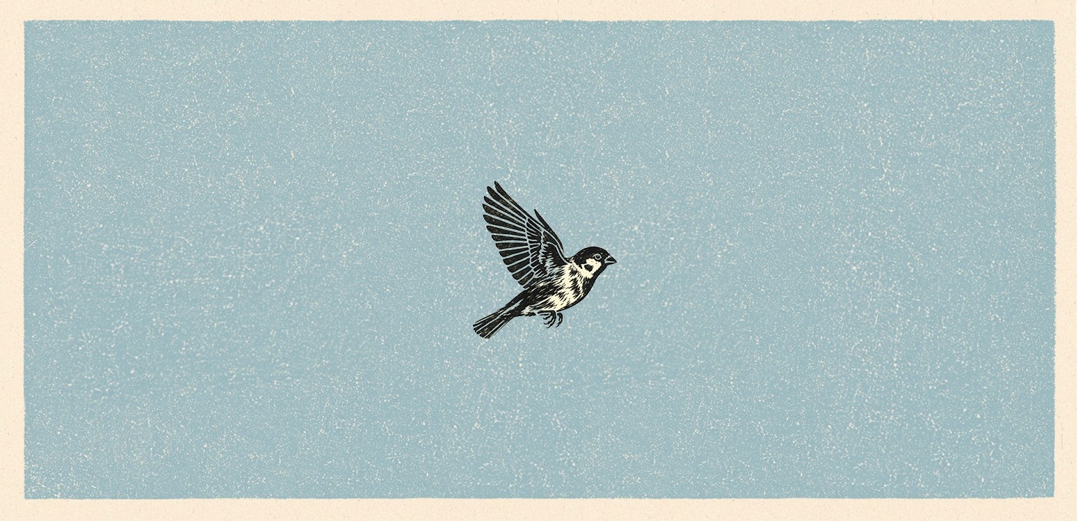 כְּצִפּוֹר שֶׁאִבְּדָה אֶת כַּדּוּר הָאָרֶץ: סדנת לימוד וכתיבה ביום השנה לשבעה באוקטובר