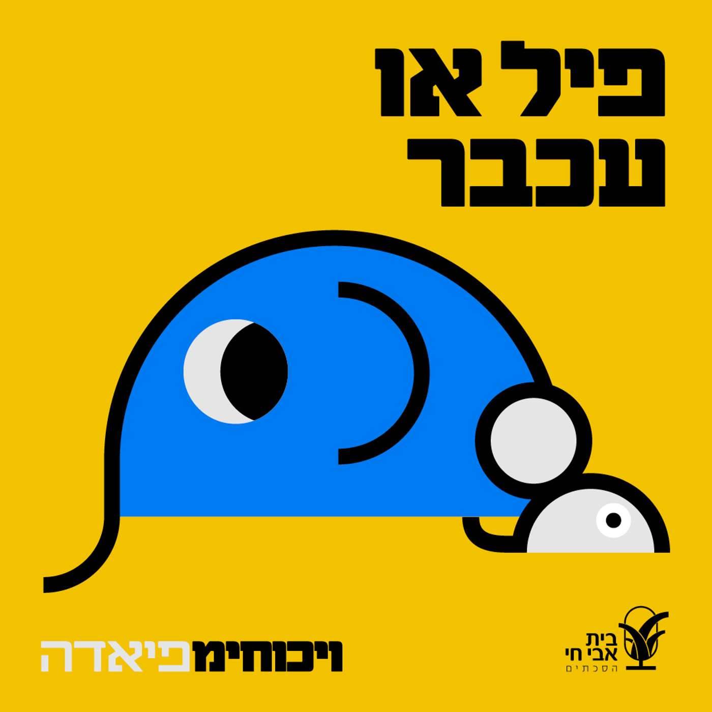 #6 פיל או עכבר?