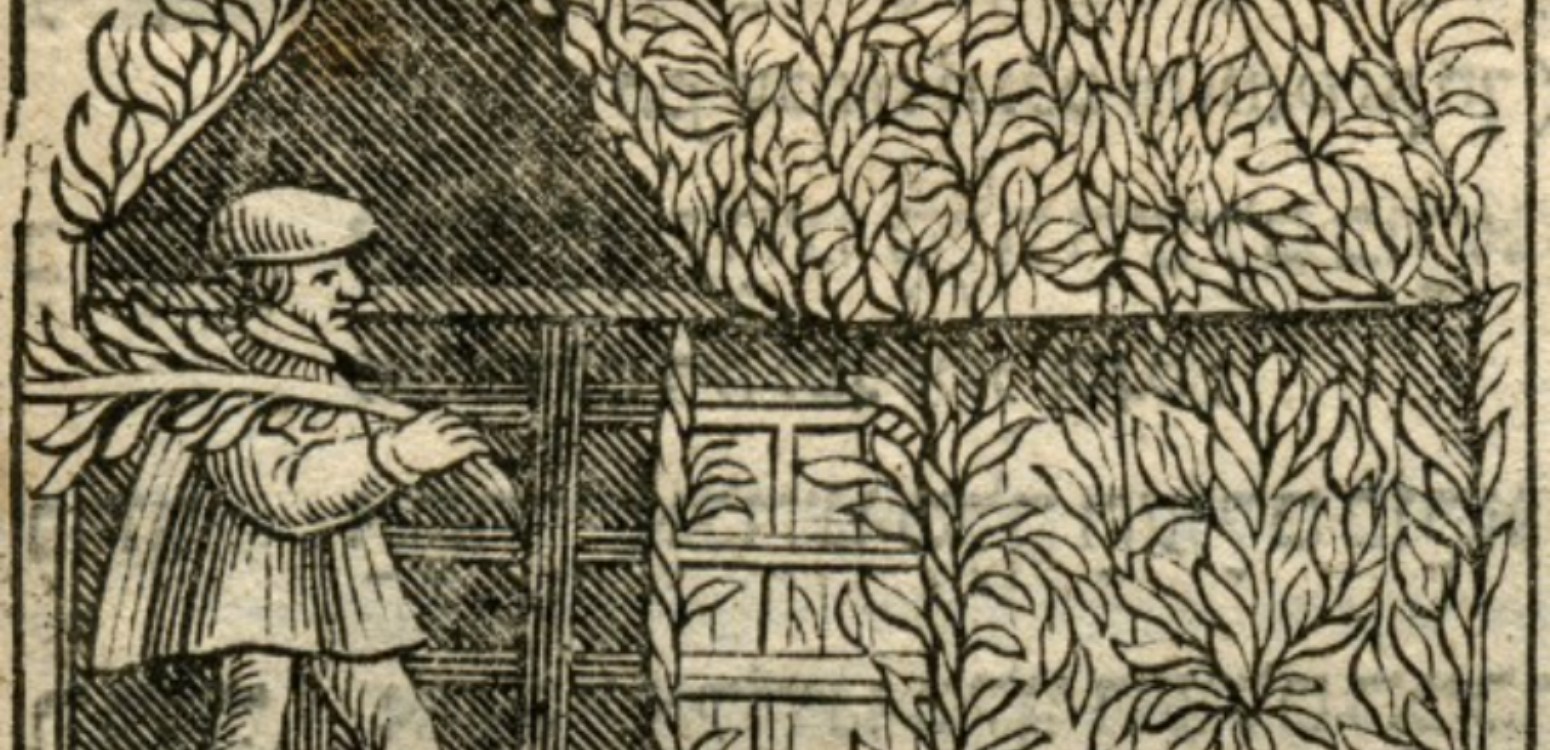 Sukkot Special: Happiness and Wealth