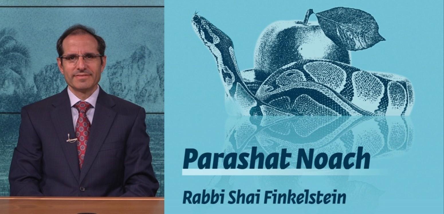 Parashat Noach: Generational Problems