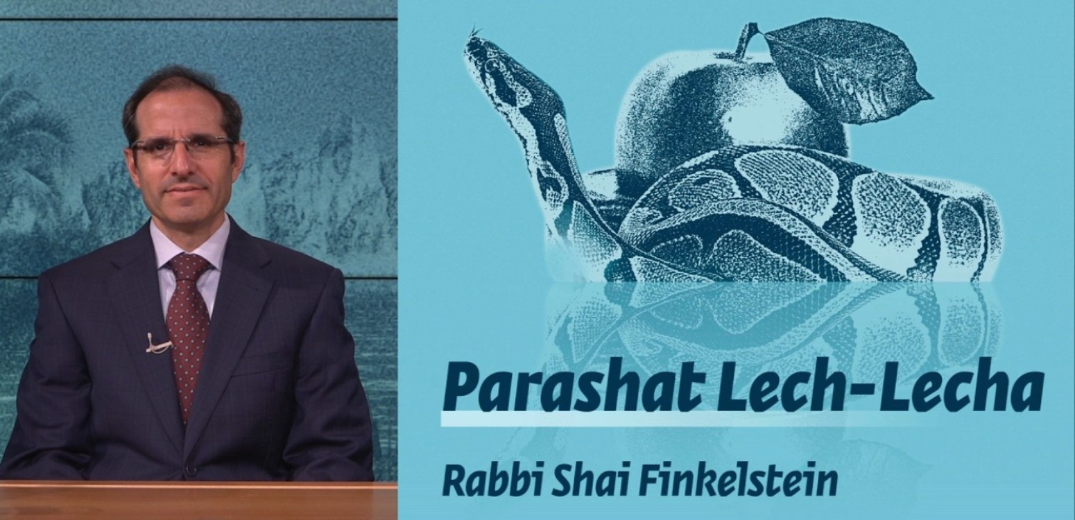 Parashat Lech Lecha: What Went Wrong?