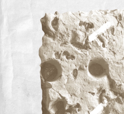 Двенадцать камней