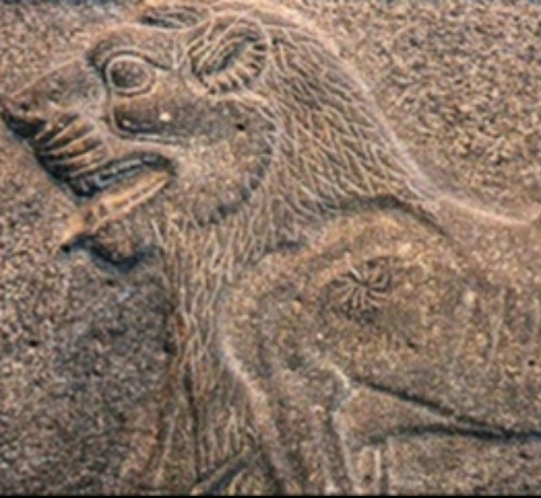 Digging for Answers: When Archaeology Meets the Bible