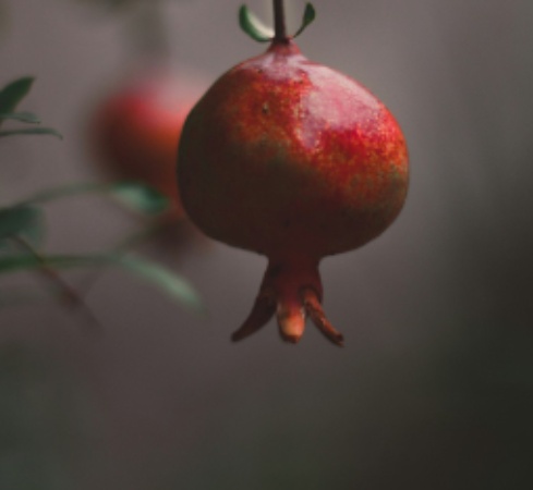 Agnon and the High Holy Days