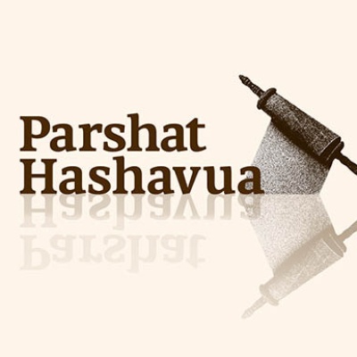 Parashat Hashavua - Rabbi Shai Finkelstein